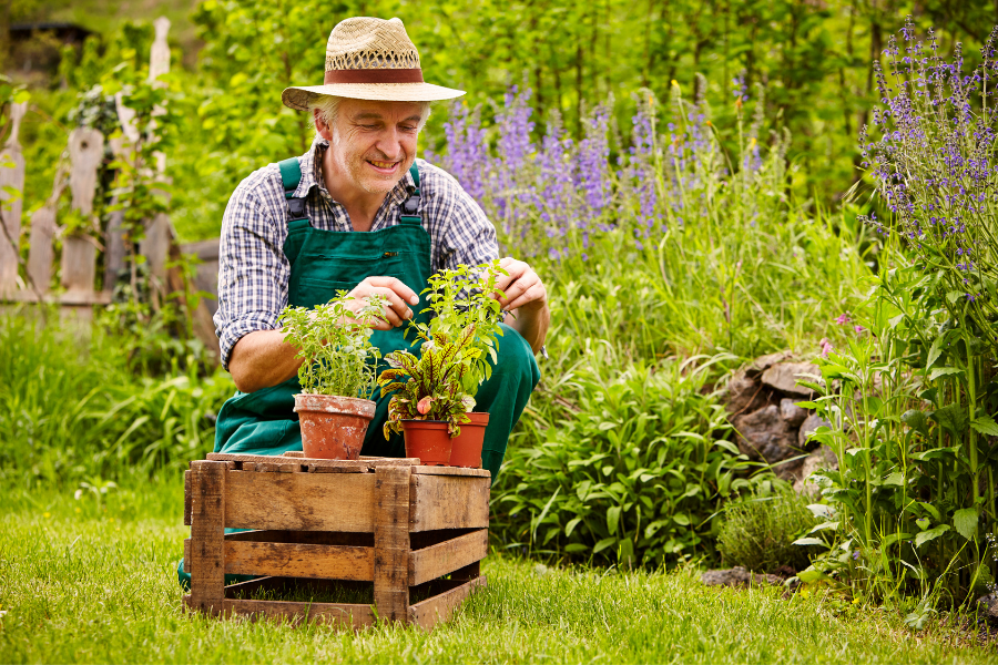 preventing aches and pains while gardening